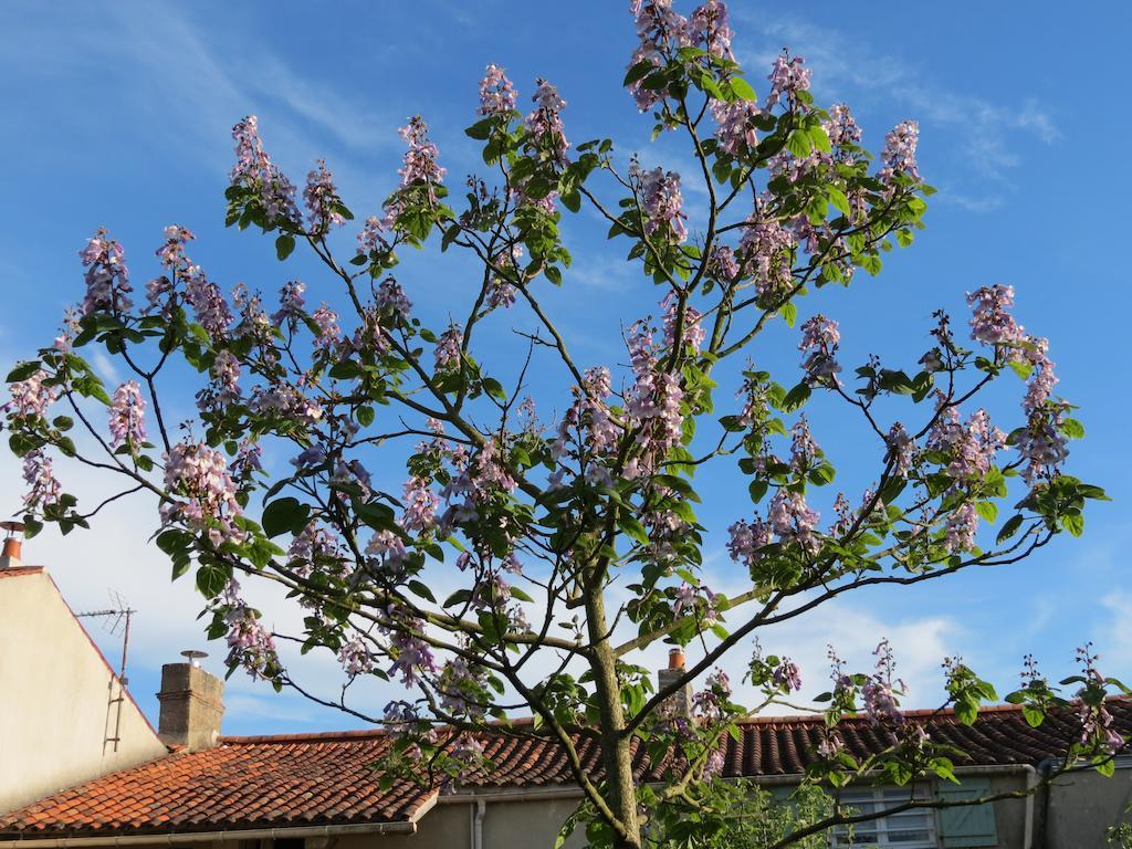 Bed and Breakfast L'Aubinoise Saint-Aubin-la-Plaine Esterno foto